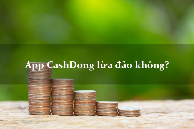 App CashDong lừa đảo không?